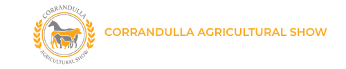 website logo